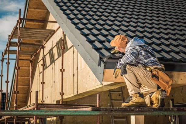 Best Roof Coating and Sealing  in , MN