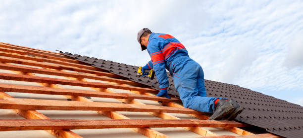 Best Roof Leak Repair  in , MN
